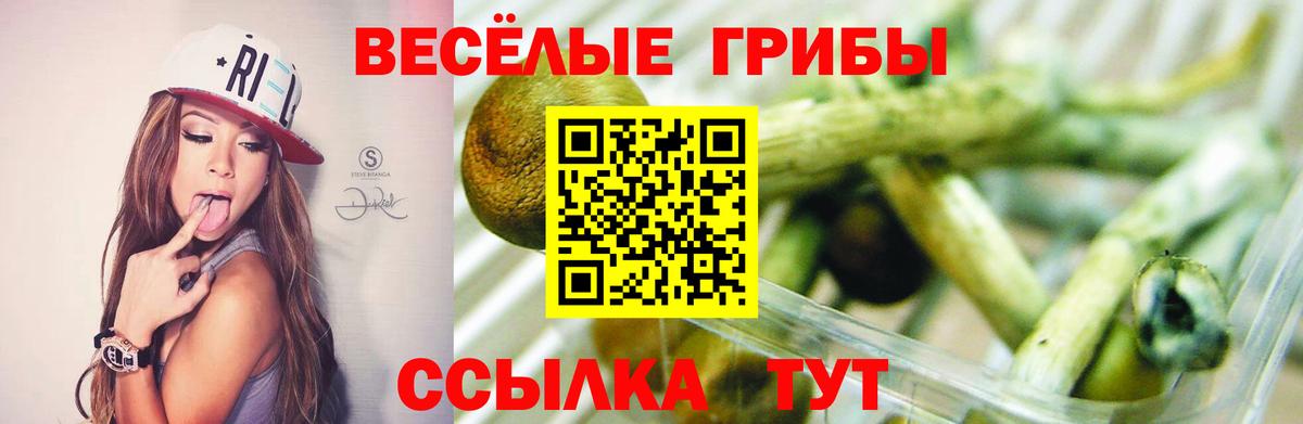 цена наркотик  Вход с VPN  Янаул  Псилоцибиновые грибы прущие грибы  Галлюциногенные грибы Cubensis 